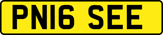 PN16SEE