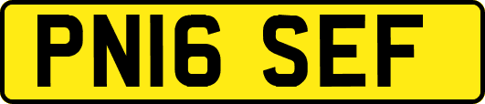 PN16SEF