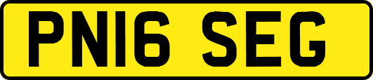 PN16SEG