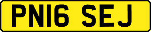 PN16SEJ