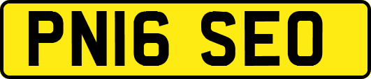 PN16SEO