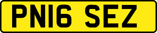 PN16SEZ