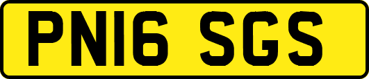 PN16SGS