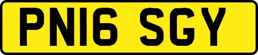 PN16SGY