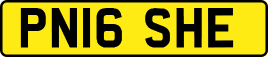 PN16SHE