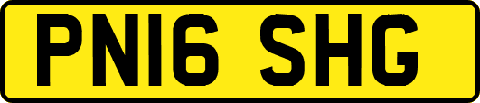 PN16SHG