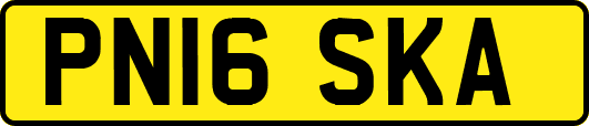 PN16SKA