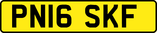 PN16SKF