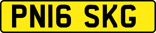 PN16SKG