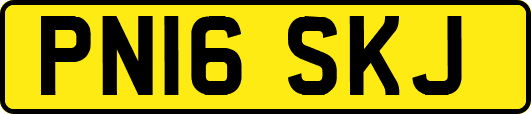 PN16SKJ