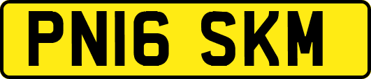 PN16SKM