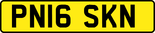 PN16SKN