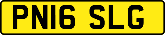 PN16SLG