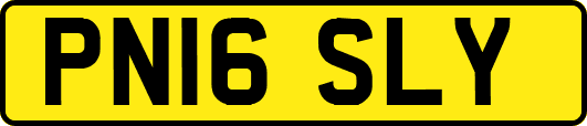 PN16SLY