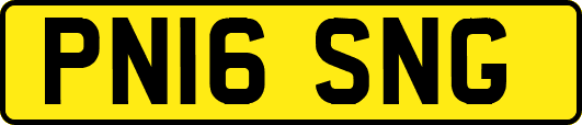 PN16SNG