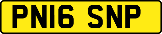 PN16SNP