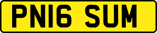 PN16SUM