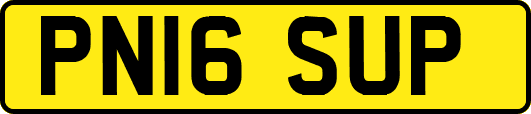 PN16SUP