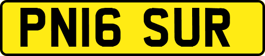 PN16SUR