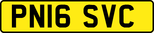 PN16SVC