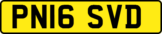 PN16SVD