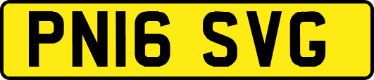 PN16SVG