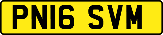 PN16SVM
