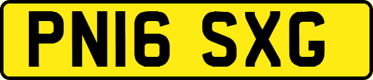 PN16SXG