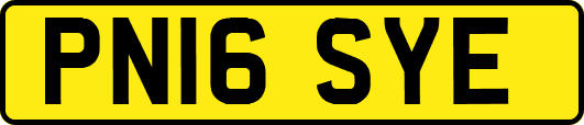PN16SYE