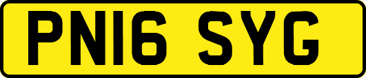 PN16SYG