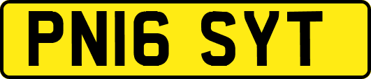 PN16SYT