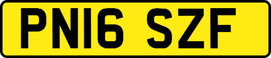 PN16SZF