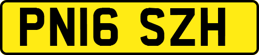 PN16SZH