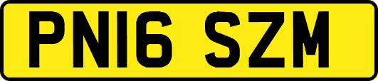 PN16SZM