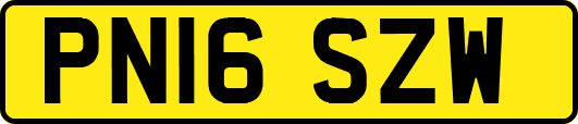 PN16SZW