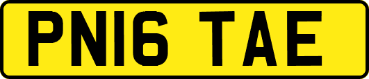 PN16TAE