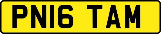 PN16TAM