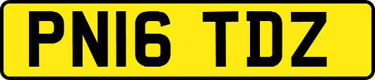 PN16TDZ