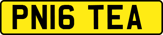 PN16TEA