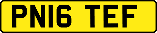 PN16TEF