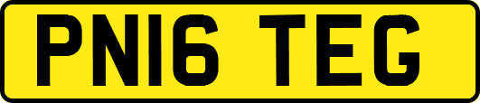 PN16TEG