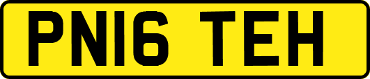 PN16TEH