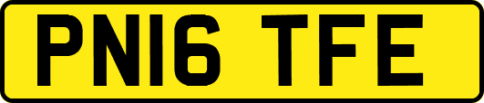 PN16TFE