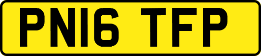 PN16TFP