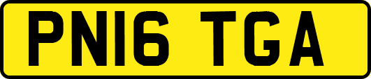 PN16TGA