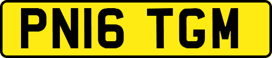 PN16TGM