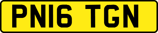 PN16TGN