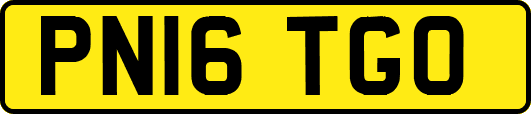 PN16TGO