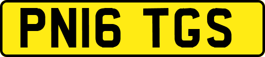 PN16TGS