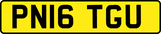 PN16TGU